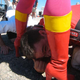 Illustration for article titled Bad Drivers Must Smell The Boot Of Mistress WTF!